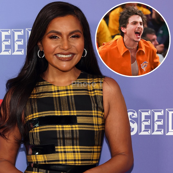 Mindy Kaling's Timothée Chalamet Halloween Costume Is a Slam Dunk